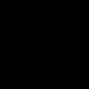 Meet your Posher, Isabelle